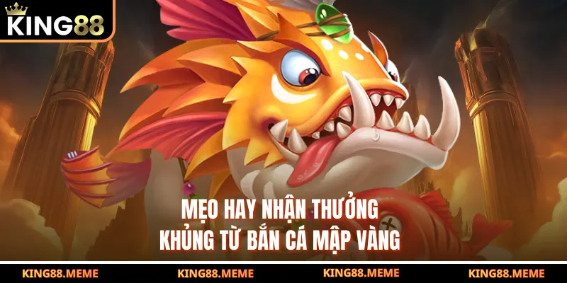 Bắn Cá Mập Vàng – Trải Nghiệm Săn Thưởng Cực Đỉnh Tại KING88 4 Mẹo hay nhận thưởng khủng từ bắn cá mập vàng